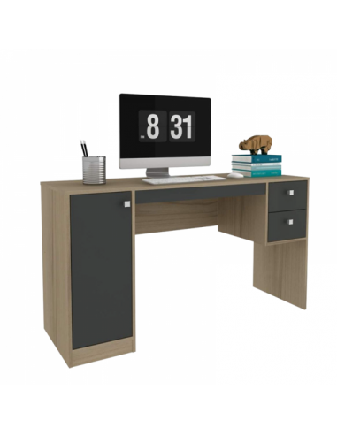 Escritorio de oficina en casa, escritorio ejecutivo grande, mesa de  computadora con 3 cajones y taquillas, escritorio de estudio, escritorios  de
